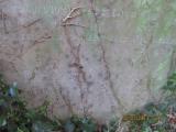 image of grave number 366117